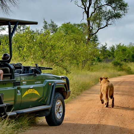 Kruger Safari Lodge Manyeleti Game Reserve Exterior photo