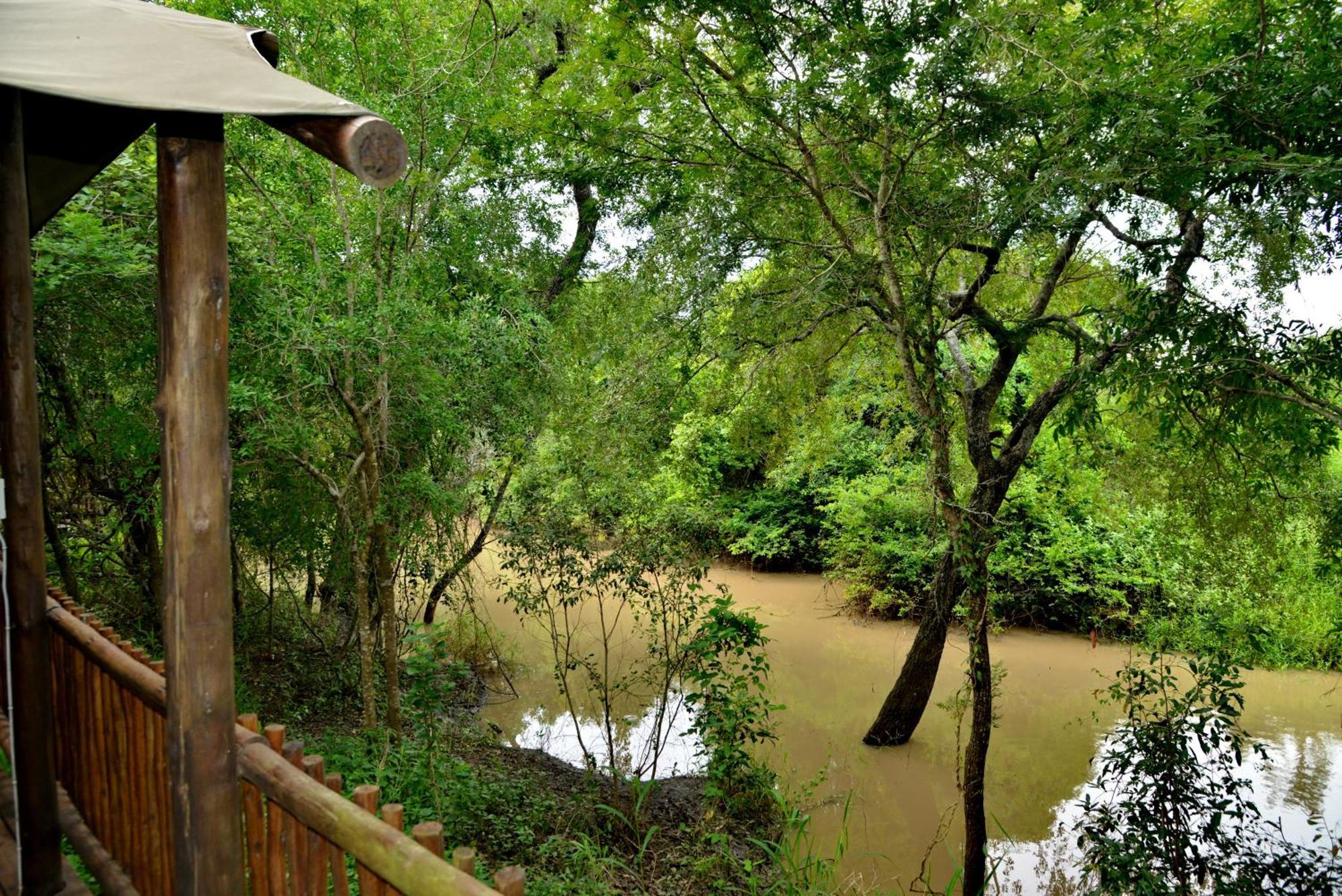 Kruger Safari Lodge Manyeleti Game Reserve Exterior photo