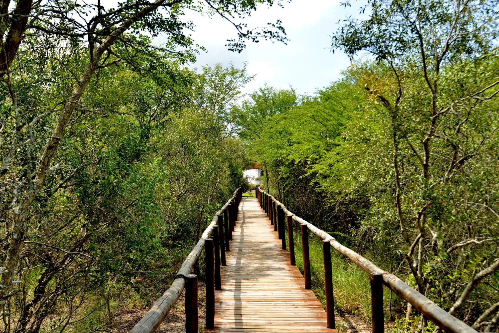 Kruger Safari Lodge Manyeleti Game Reserve Exterior photo